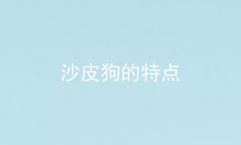 沙皮狗的特点