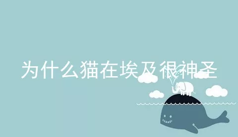 为什么猫在埃及很神圣