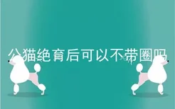 公猫绝育后可以不带圈吗