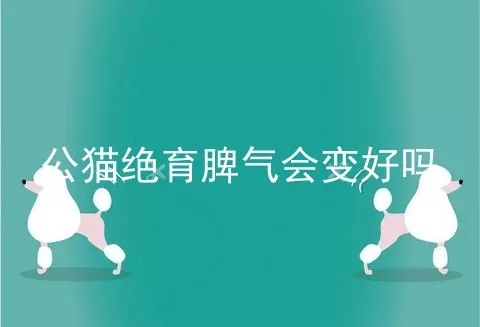 公猫绝育脾气会变好吗