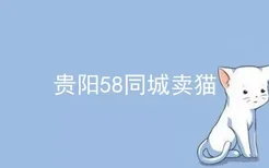 贵阳58同城卖猫