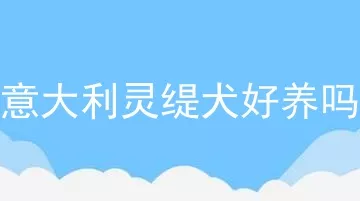 意大利灵缇犬好养吗