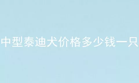 中型泰迪犬价格多少钱一只