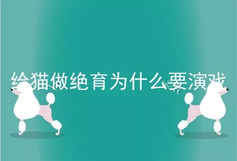 给猫做绝育为什么要演戏