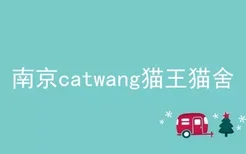 南京catwang猫王猫舍