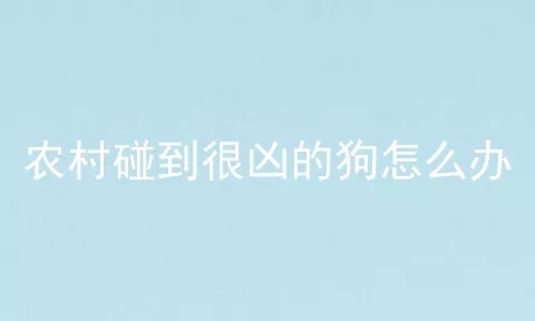 农村碰到很凶的狗怎么办