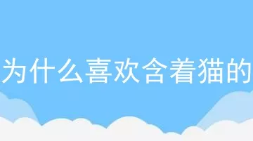 狗为什么喜欢含着猫的头