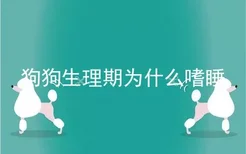 狗狗生理期为什么嗜睡