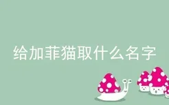 给加菲猫取什么名字