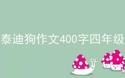 泰迪狗作文400字四年级