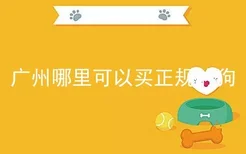 广州哪里可以买正规的狗