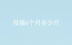 母猫6个月多少斤