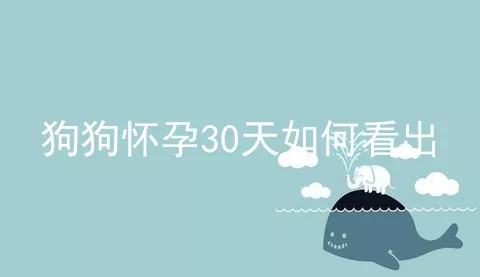 狗狗怀孕30天如何看出