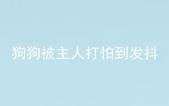 狗狗被主人打怕到发抖