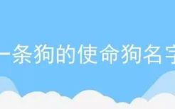 一条狗的使命狗名字