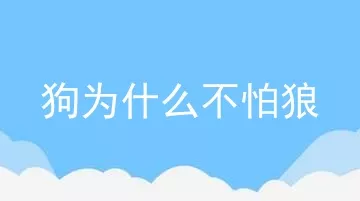 狗为什么不怕狼