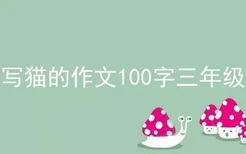 写猫的作文100字三年级