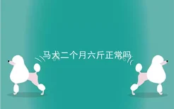 马犬二个月六斤正常吗