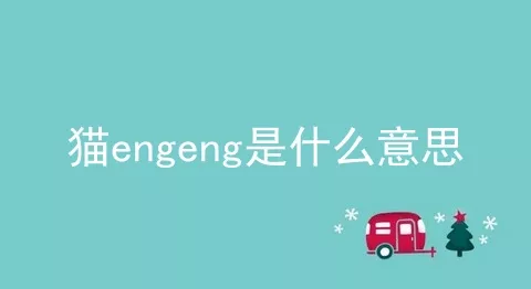 猫engeng是什么意思