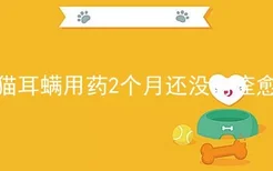 猫耳螨用药2个月还没有痊愈