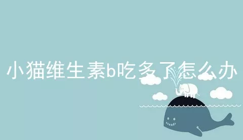 小猫维生素b吃多了怎么办