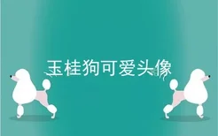 玉桂狗可爱头像