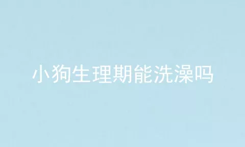 小狗生理期能洗澡吗