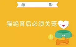 猫绝育后必须关笼子吗