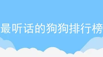 最听话的狗狗排行榜