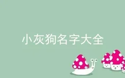 小灰狗名字大全