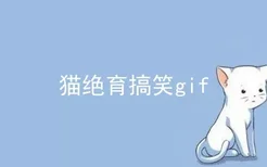 猫绝育搞笑gif