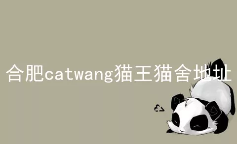 合肥catwang猫王猫舍地址