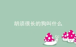 胡须很长的狗叫什么