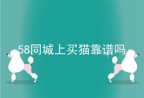 58同城上买猫靠谱吗