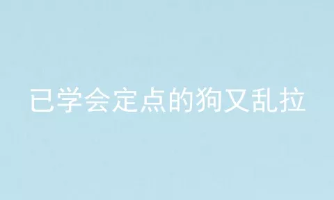 已学会定点的狗又乱拉