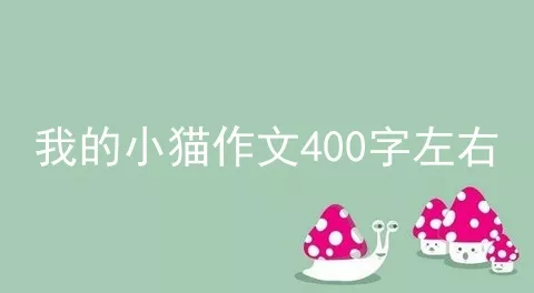 我的小猫作文400字左右