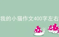 我的小猫作文400字左右