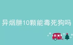 异烟肼10颗能毒死狗吗