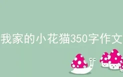 我家的小花猫350字作文