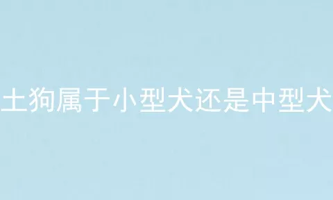 土狗属于小型犬还是中型犬