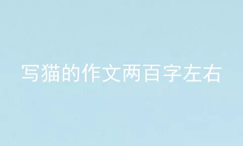 写猫的作文两百字左右