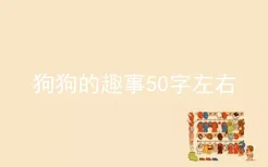 狗狗的趣事50字左右