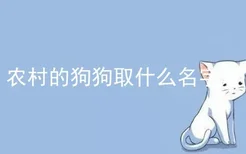 农村的狗狗取什么名字好