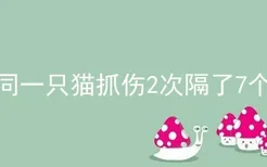 被同一只猫抓伤2次隔了7个月