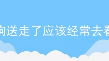 狗狗送走了应该经常去看吗