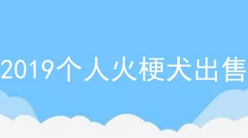 2019个人火梗犬出售