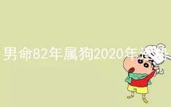 男命82年属狗2020年运势