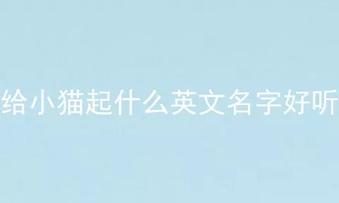 给小猫起什么英文名字好听