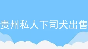 贵州私人下司犬出售