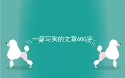 一篇写狗的文章600字